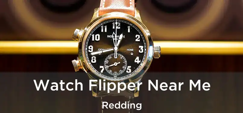 Watch Flipper Near Me Redding